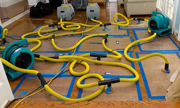 Professional Crawl Space Water Removal technician working in Parker, SD
